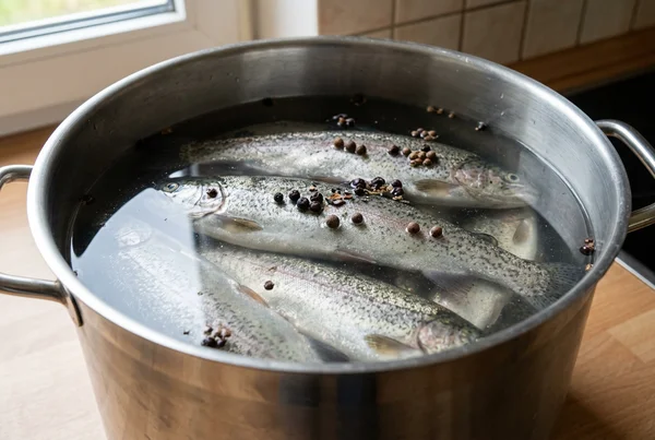 Fisch räuchern Salzlake: Rezepte zum Einlegen &amp;amp; Beizen – Detailansicht