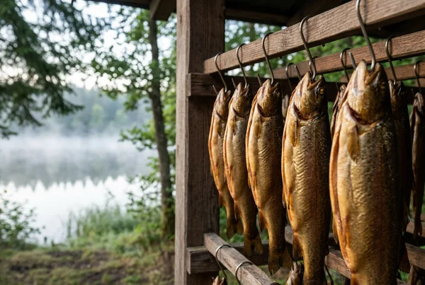 Fisch räuchern Salzlake: Rezepte zum Einlegen &amp;amp; Beizen in der Praxis
