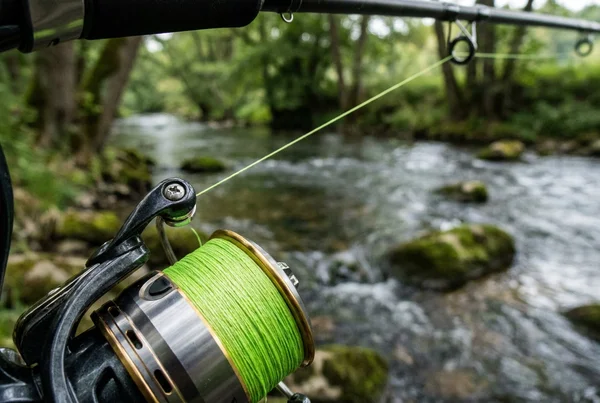 Unterschied zwischen geflochtener und monofiler schnur beim spinnfischen – Detailansicht