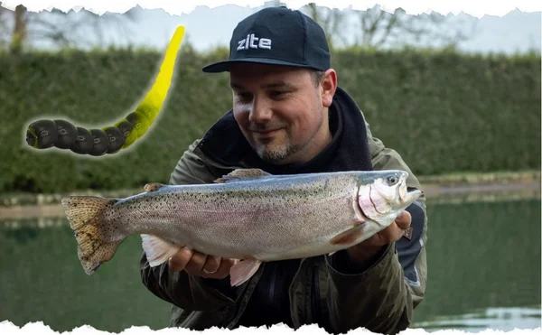 Curly Catch Bild