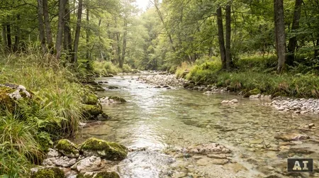 Forellen beißen nicht auf Kunstköder: Was tun bei vorsichtigen Fischen?